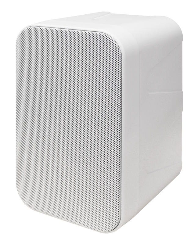 Wall-Speaker-Angled-MD